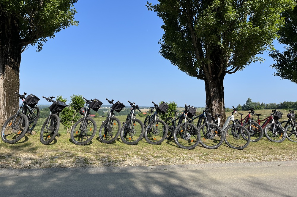 Kolesarske ture med vinogradi
