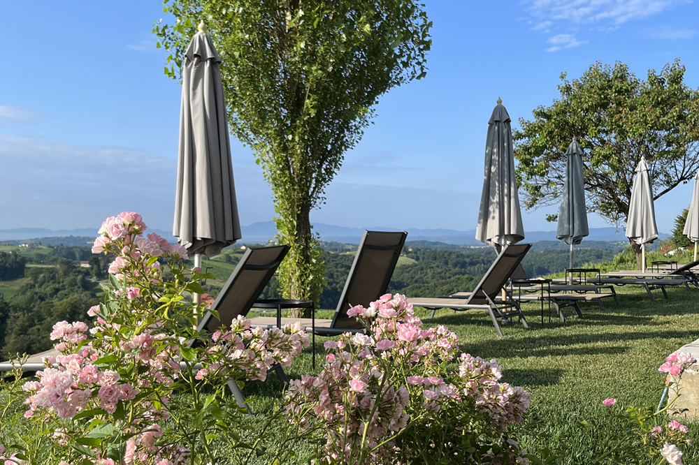 Neskončni bazen z razgledom na vinograde